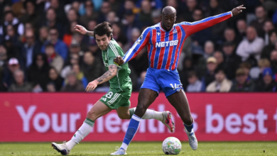 ريمونتادا كريستال بالاس تسقط نيوكاسل في الدوري الإنجليزي