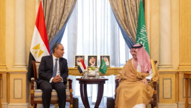 العلاقات السعودية المصرية: تنسيق مستمر حول أمن المنطقة