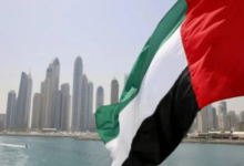 دور الإمارات في صد الهجوم الإيراني على إسرائيل | تحليل