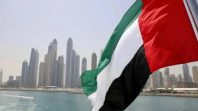 دور الإمارات في صد الهجوم الإيراني على إسرائيل | تحليل