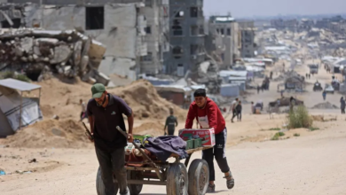 Egypt is leading efforts to form a committee to manage Gaza before Eid al-Adha