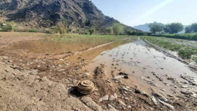 Landmines, hunger, and deprivation: Yemenis are paying the price for the Houthi coup