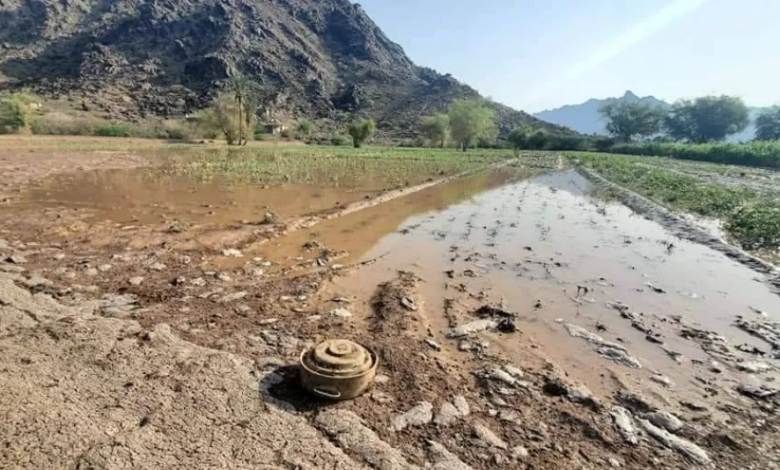 Landmines, hunger, and deprivation: Yemenis are paying the price for the Houthi coup