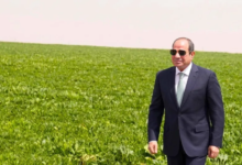 مشروع الدلتا الجديدة: كيف تعزز مصر أمنها الغذائي؟