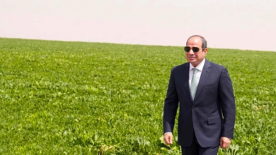مشروع الدلتا الجديدة: كيف تعزز مصر أمنها الغذائي؟