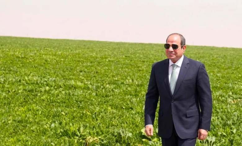 مشروع الدلتا الجديدة: كيف تعزز مصر أمنها الغذائي؟