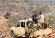 Somalia: Al-Shabaab terrorism on the rise amid political crisis