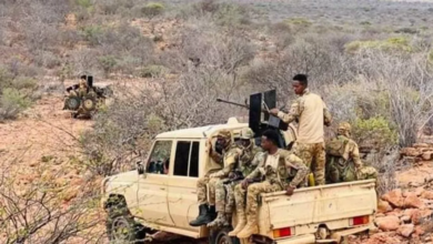 Somalia: Al-Shabaab terrorism on the rise amid political crisis