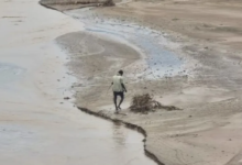 UN initiatives to support agriculture in Yemen and combat the drought crisis