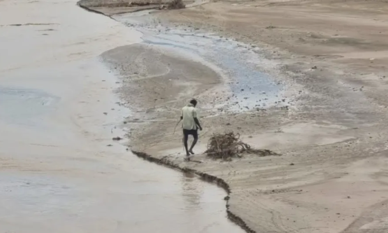 مبادرات أممية لدعم الزراعة في اليمن ومكافحة أزمة الجفاف