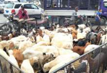 Living crises overshadow the joy of Eid in Houthi-controlled areas