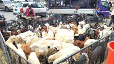 Living crises overshadow the joy of Eid in Houthi-controlled areas