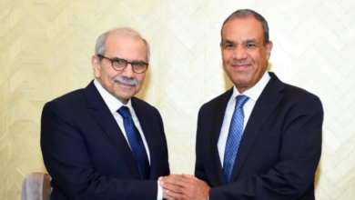 مصر تدعم لبنان وتطالب بانسحاب إسرائيل الكامل من أراضيه