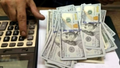 سعر الدولار اليوم في مصر: تقلبات جديدة تقترب به من 54 جنيهاً