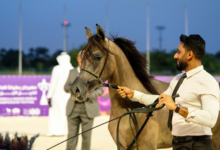 بطولة العالم لخيل الجزيرة 2026 بالرياض | أخبار الفروسية