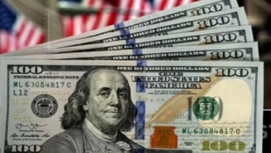 The dollar index rose as the world awaited crucial US inflation data