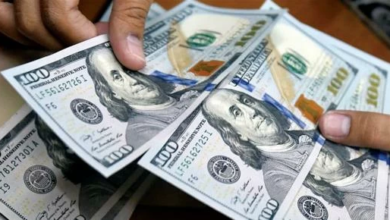 The dollar price in Egypt exceeds 53 Egyptian pounds: Reasons and expectations