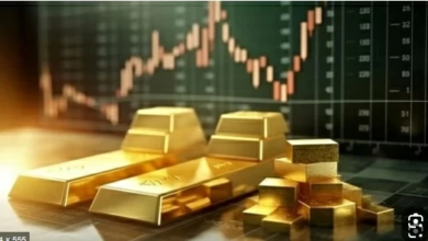 أسعار الذهب في مصر: فجوة تسعير تخالف السعر العالمي