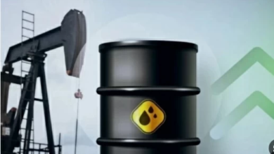 US strategic petroleum reserves fall to lowest level