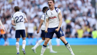 Tottenham defeat Everton and secure their place in the English Premier League
