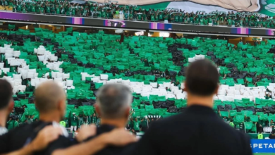 رسالة مؤثرة من يايسله لجماهير الأهلي بعد نهاية الموسم