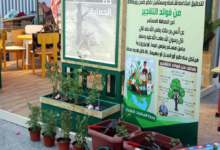 أسبوع البيئة السعودي في مكة: تعزيز الوعي والاستدامة