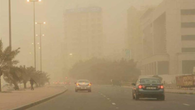 طقس الرياض اليوم: تحذير من أتربة مثارة وأمطار خفيفة