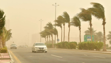 حالة الطقس في السعودية: أمطار رعدية ورياح مثيرة للغبار
