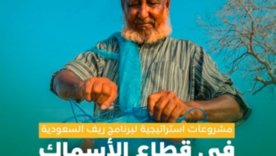 مشروع مزاد الأسماك بالرايس: 50% إنجاز نحو الاستدامة ورؤية 2030