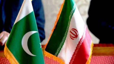 Pakistan and Iran discuss regional developments and common security