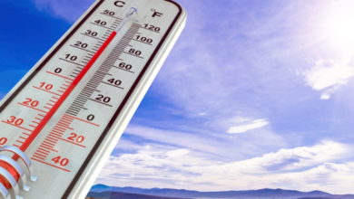 Weather in Saudi Arabia: Rain, active winds, and varying temperatures