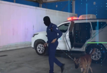 إحباط تهريب كوكايين في ميناء جدة | جهود السعودية بمكافحة المخدرات