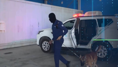 إحباط تهريب كوكايين في ميناء جدة | جهود السعودية بمكافحة المخدرات