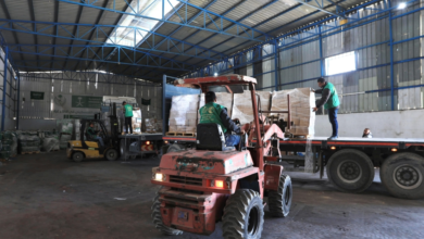 Saudi aid arrives in Gaza via the King Salman Center for Supporting Palestinians