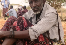 Hunger in Somalia: 6 million at risk of famine, UN warns