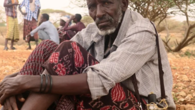 Hunger in Somalia: 6 million at risk of famine, UN warns