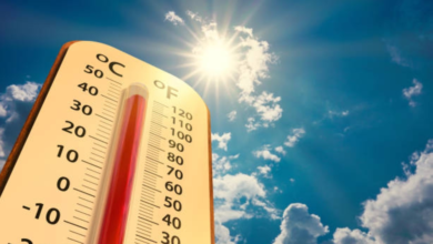 Saudi Arabia weather today: High temperatures and thunderstorms expected