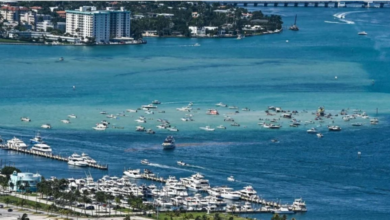 Boat explosion in Miami: 11 tourists injured, investigation underway