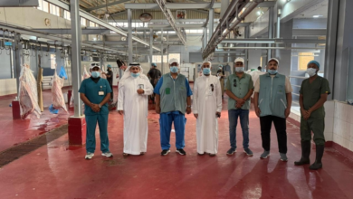 A monitoring plan in Al-Jumoum to ensure the safety of pilgrims' food during the 1447 Hajj season