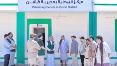 تأهيل مركز البيطرة في المهرة: دعم سعودي للأمن الغذائي باليمن