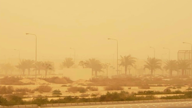 Dust storms: A report tracks 74 hours of dust in the Middle East