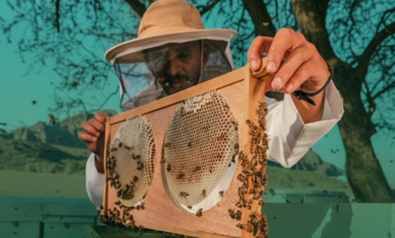 5 honey production plants in Saudi Arabia at a cost of 38 million riyals