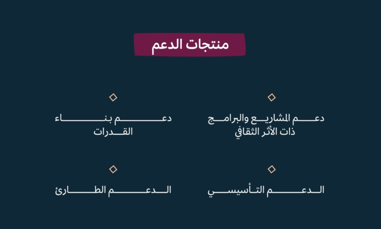 برنامج الدعم مقابل الأداء: وزارة الثقافة تمكّن المنظمات غير الربحية