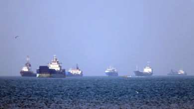UN warning: Closing the Strait of Hormuz threatens imminent global famine