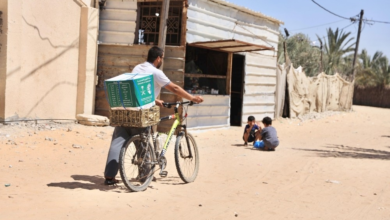 King Salman Humanitarian Aid and Relief Center: Continuous humanitarian support for the people of Gaza