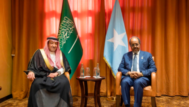 Saudi Arabia and Somalia: Strengthening cooperation and supporting stability in the Horn of Africa