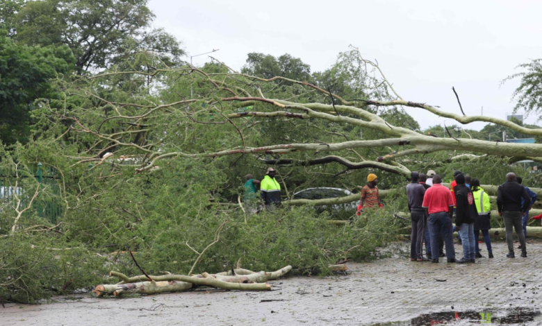 South Africa floods: Deaths and extensive damage in Cape Town