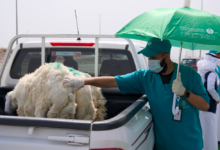 Waqaa secures livestock for Hajj 1445 AH with advanced monitoring technologies