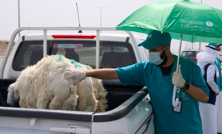 Waqaa secures livestock for Hajj 1445 AH with advanced monitoring technologies