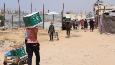 Saudi aid to Gaza: Food baskets distributed in Khan Younis